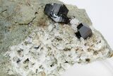 Lustrous Anatase and Albite Crystal Association - Pakistan #210746-2